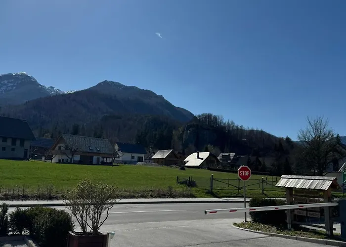 Manca-holin * ボーヒニ